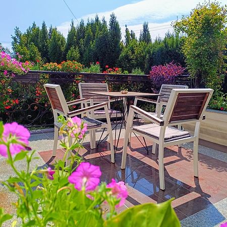 Vila Sentic Βράνιε Εξωτερικό φωτογραφία