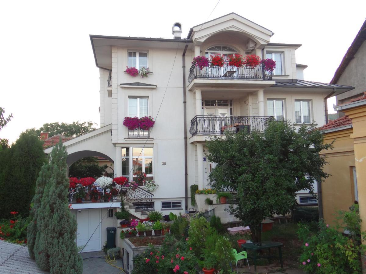 Vila Sentic Βράνιε Εξωτερικό φωτογραφία