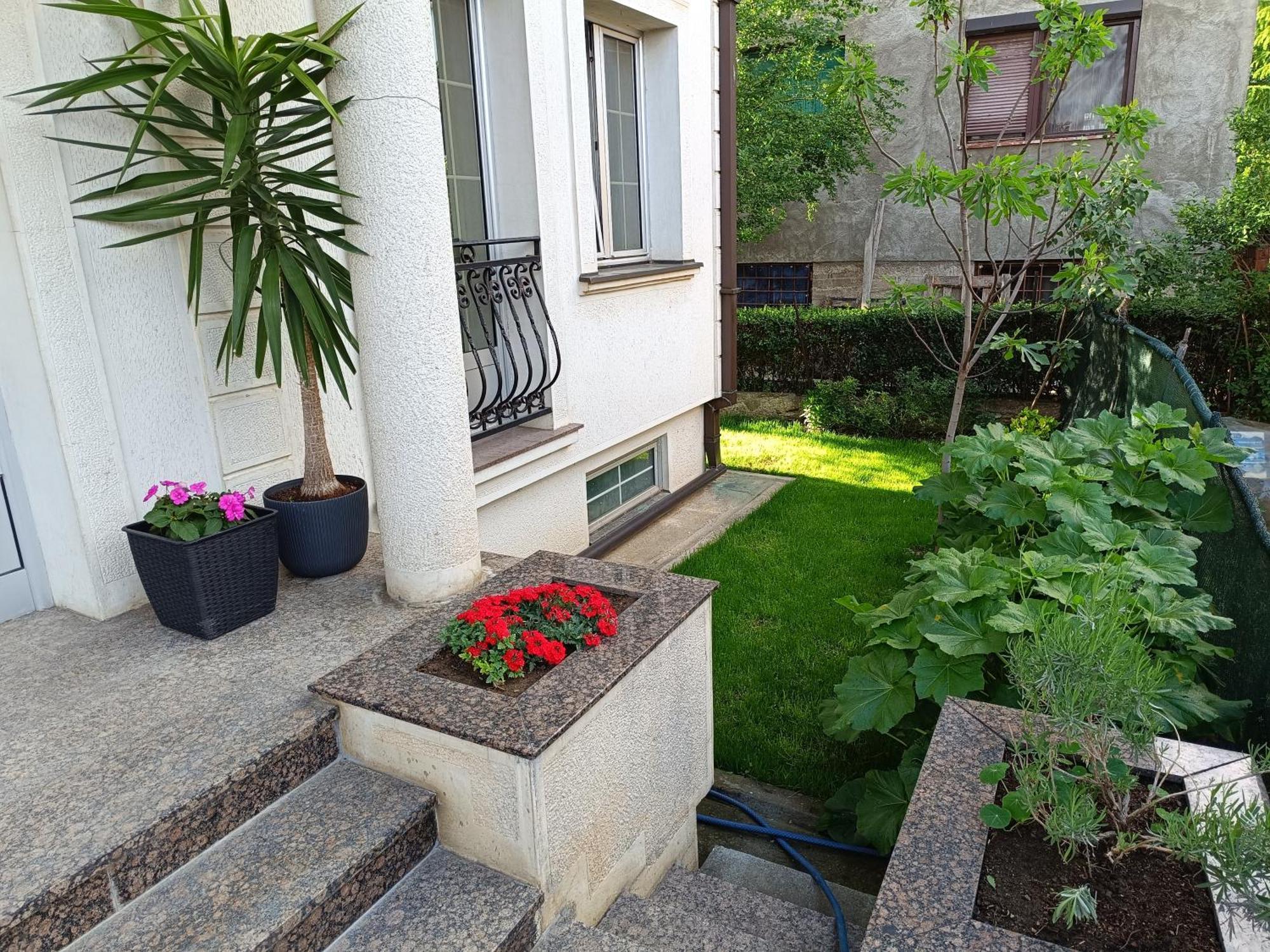 Vila Sentic Βράνιε Εξωτερικό φωτογραφία
