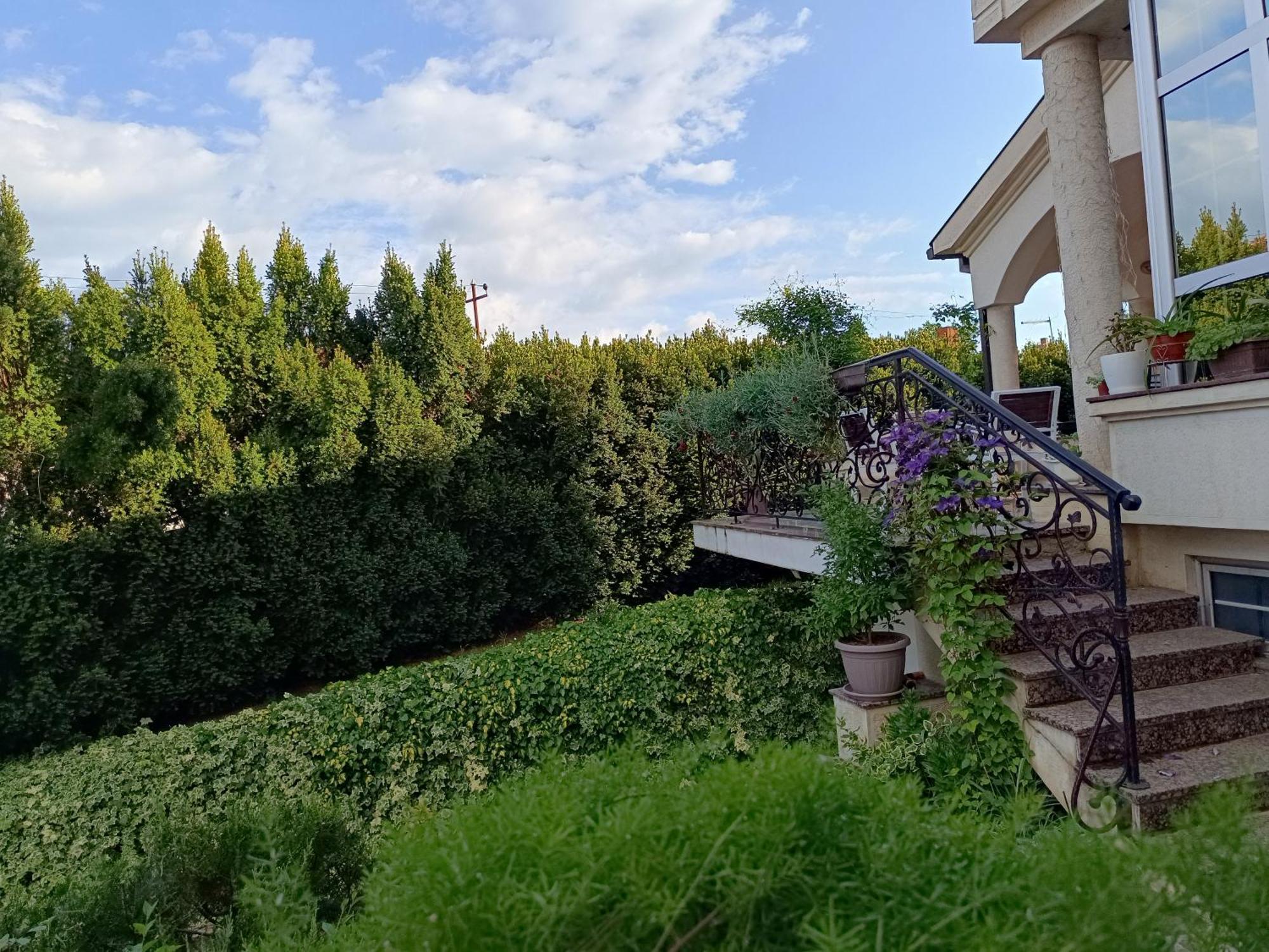 Vila Sentic Βράνιε Εξωτερικό φωτογραφία