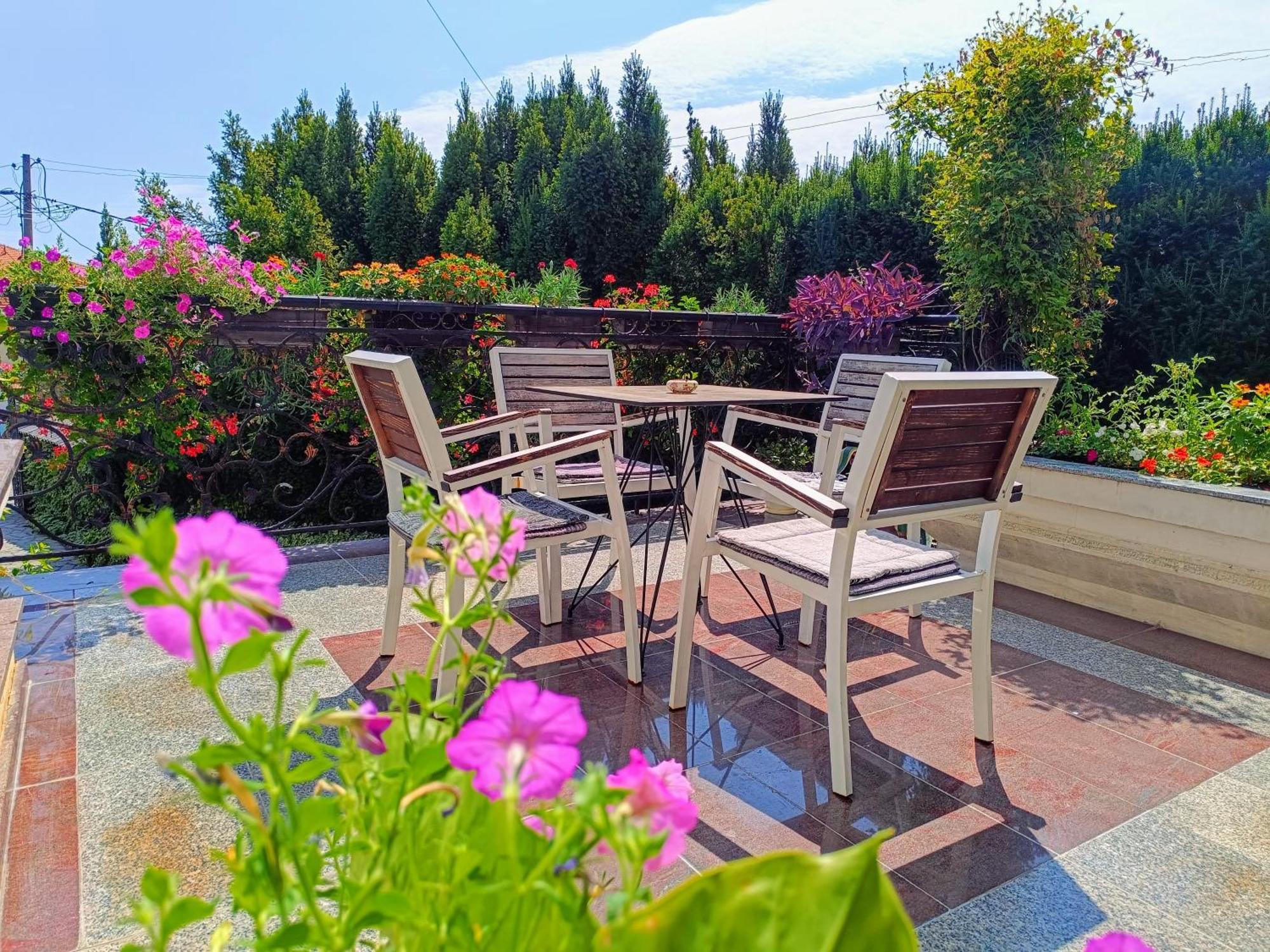 Vila Sentic Βράνιε Εξωτερικό φωτογραφία