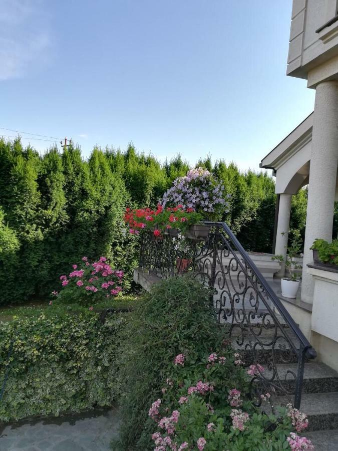 Vila Sentic Βράνιε Εξωτερικό φωτογραφία