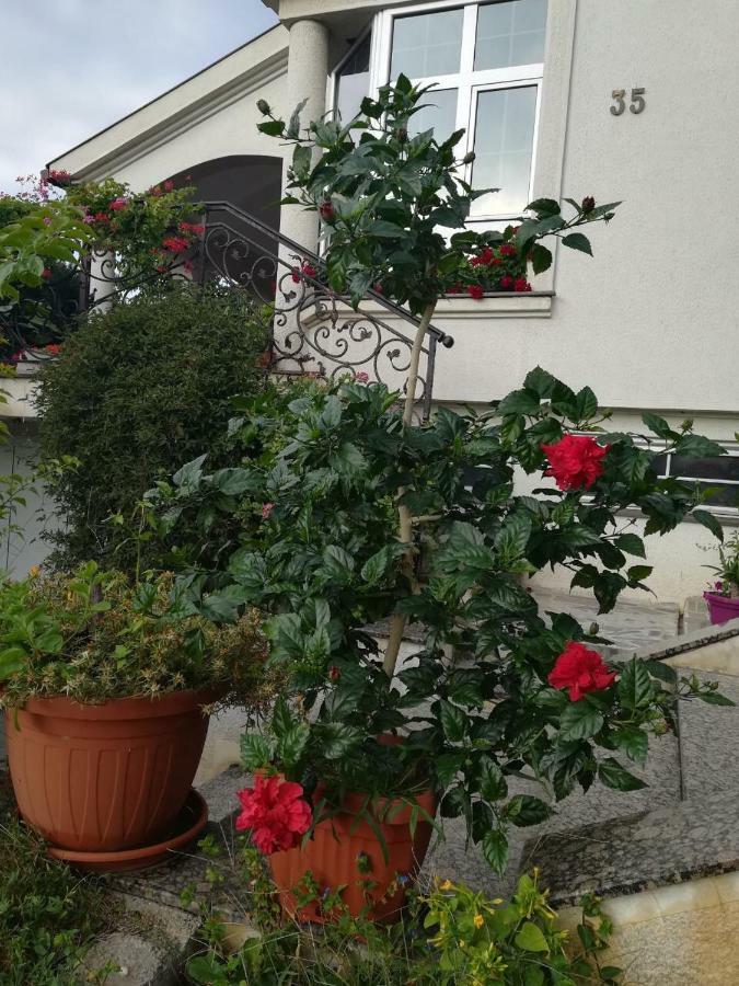 Vila Sentic Βράνιε Εξωτερικό φωτογραφία