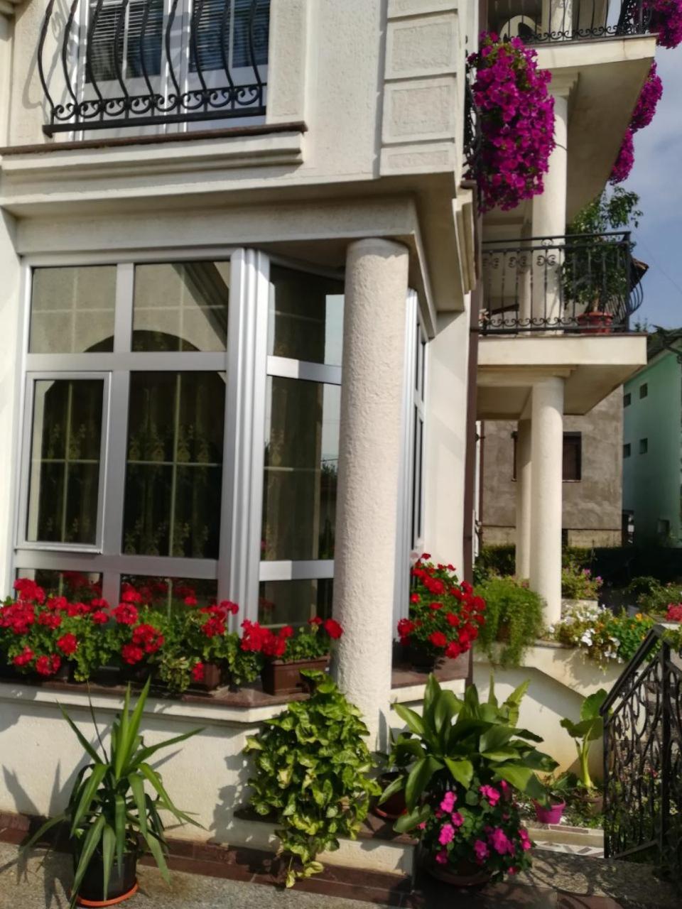 Vila Sentic Βράνιε Εξωτερικό φωτογραφία